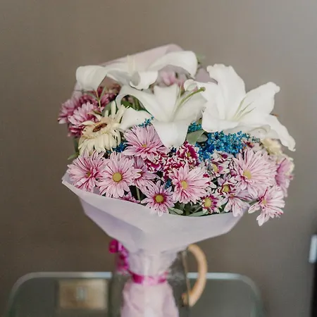 Appartement Valentine's Dream